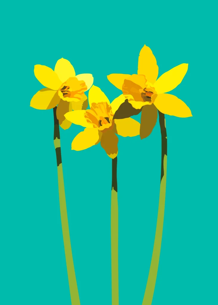 (Opstand van de) Narcissen - aquagroen