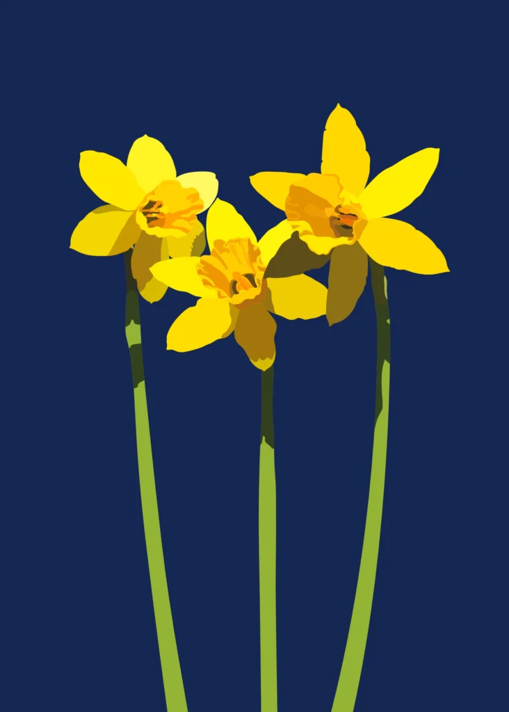 (Opstand van de) Narcissen - donkerblauw