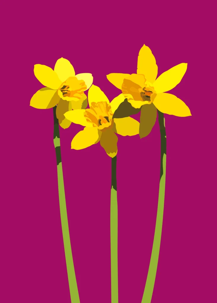 (Opstand van de) Narcissen - donkerroze