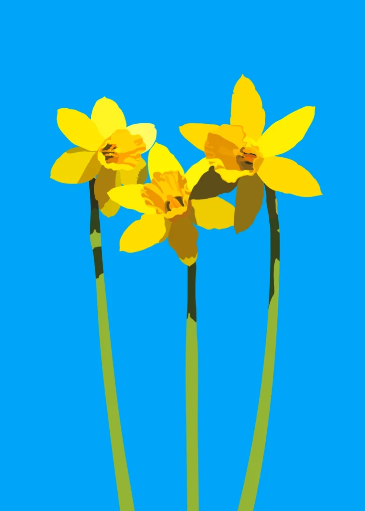 (Opstand van de) Narcissen - felblauw