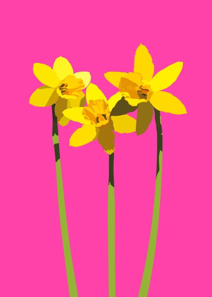 (Opstand van de) Narcissen - magenta