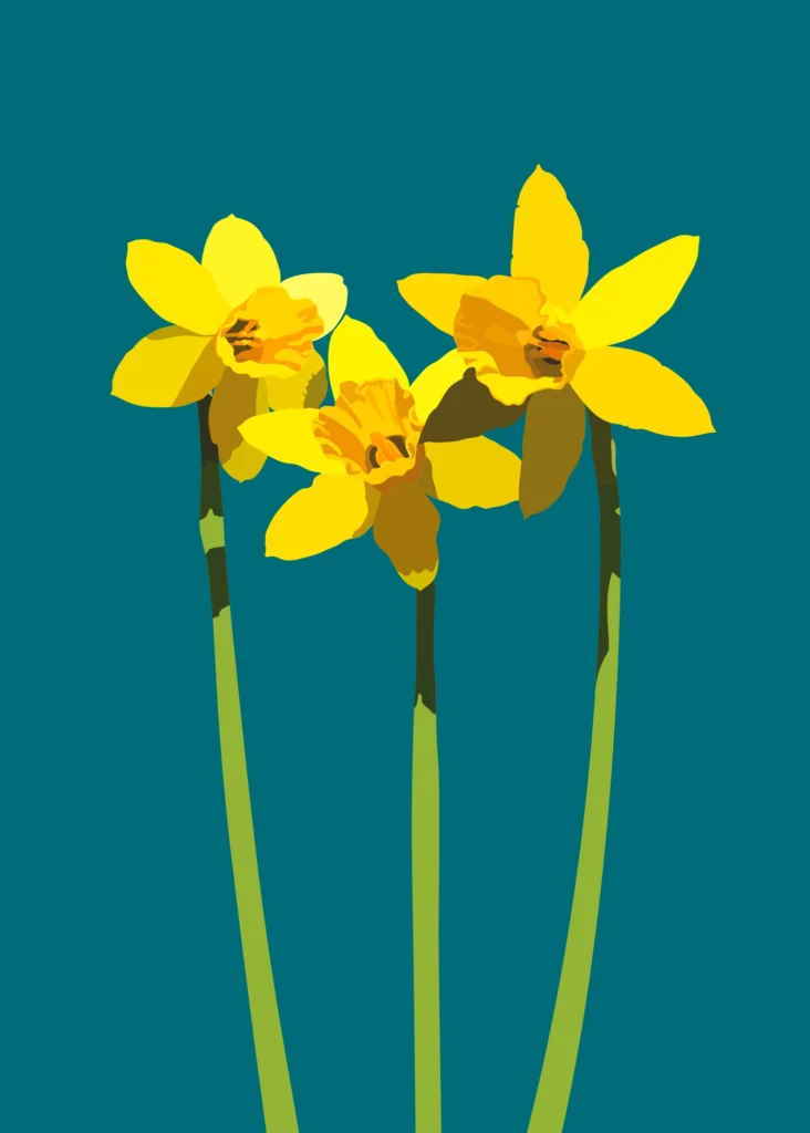 (Opstand van de) Narcissen - watergroen